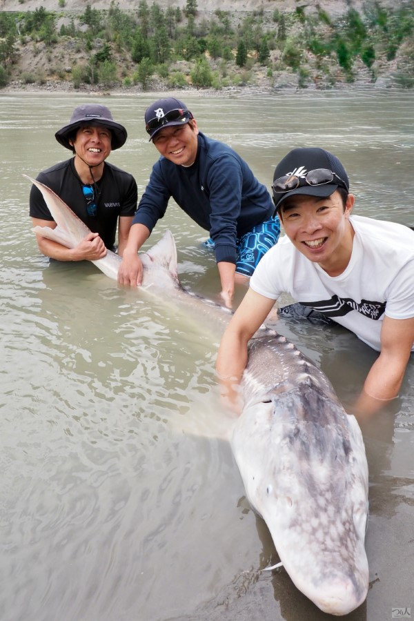 大型魚 一体何が？》まさかの大型魚「ちょ、強い何これ？ヤバイヤバイ